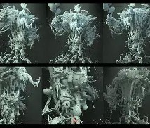 开云官网->兡黏?&amp;鑰cC緟?(怀旧服nugcombobar下载)